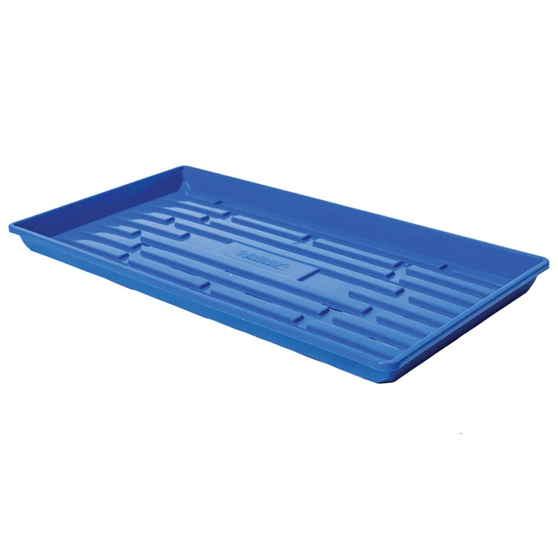 Polypro Shallow Tray (With Holes), Blue – 4 Count 1 Polypro Shallow Tray (With Holes), Blue – 4 Count