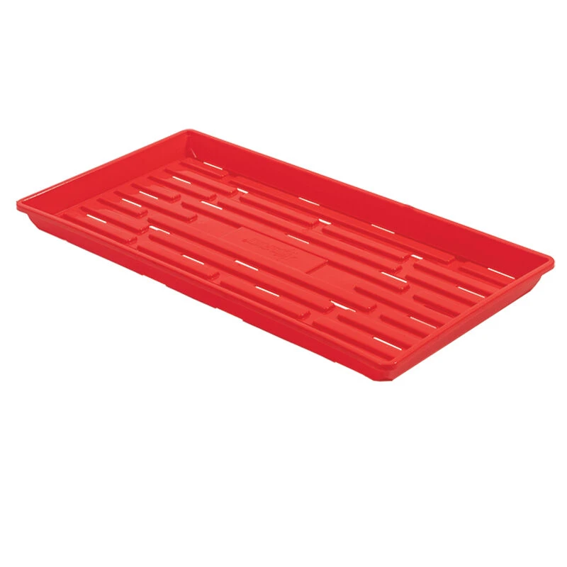 Polypro Shallow Tray (With Holes), Red – 4 Count 1 Polypro Shallow Tray (With Holes), Red – 4 Count