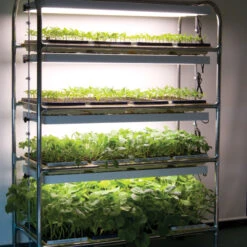 Full-Size Seedling Light Cart – 12 Trays, 480 Watts