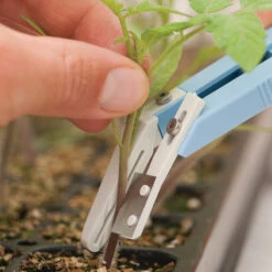 Miter-Cut Grafting Knife -Green Leaf Tools & Supplies Sales Store 07172 04 mitercutgrft knife