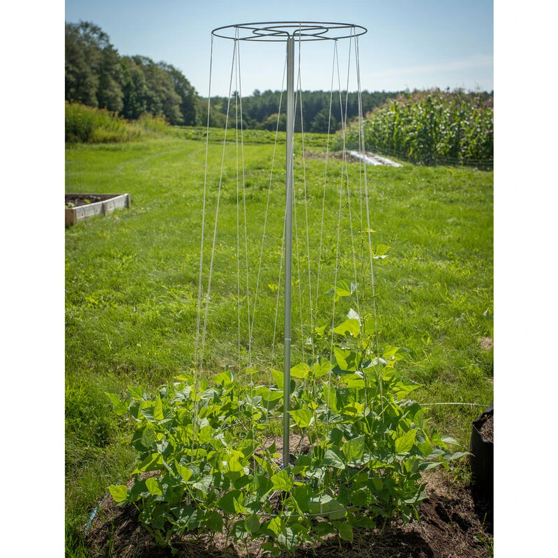 Bean Tower – 60" 4 Bean Tower – 60" - Image 4