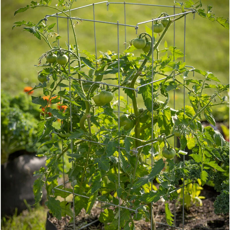 Tomato Cages – 40" 1 Tomato Cages – 40"