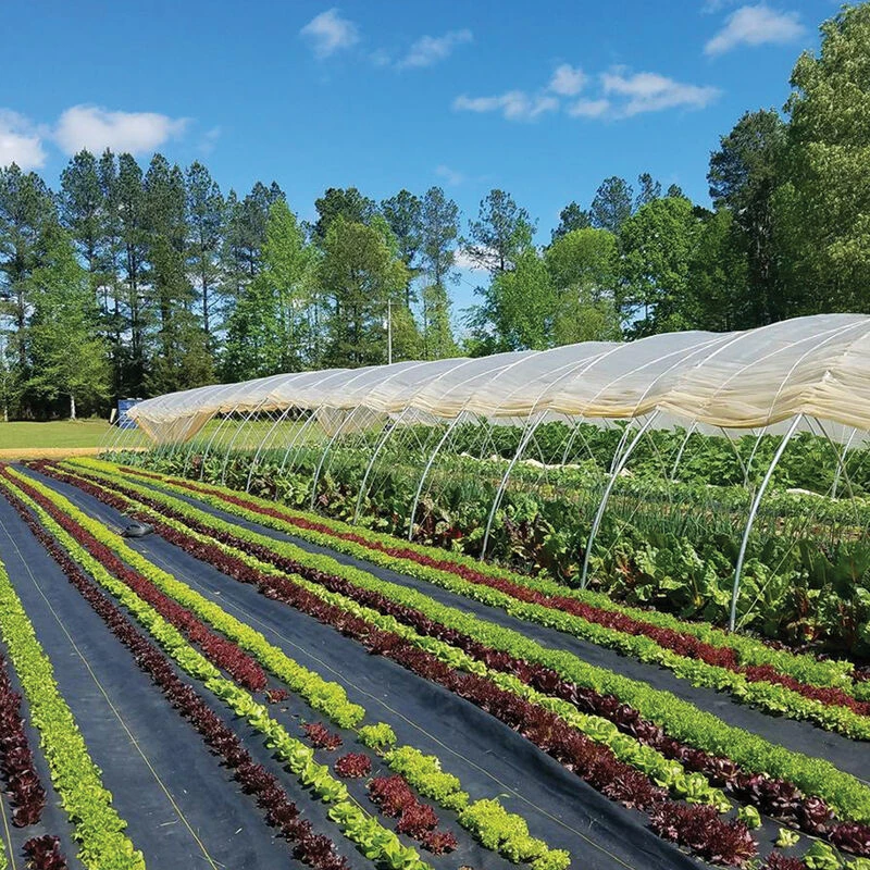 Sunbelt Black Ground Cover – 3' X 300' 1 Sunbelt Black Ground Cover – 3' X 300'