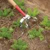 Spring Hoe – 3.5"