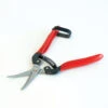 Grape & Tomato Shears