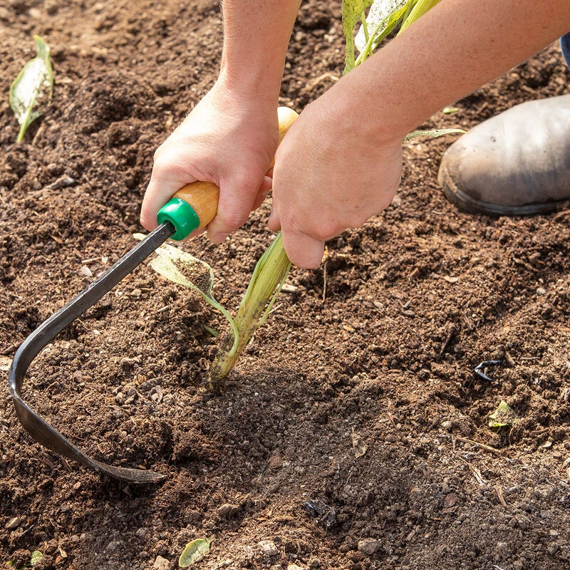 Ho-Mi EZ Digger 1 Ho-Mi EZ Digger