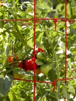 Tomato Cages, Set Of 4 -Green Leaf Tools & Supplies Sales Store 34182 592