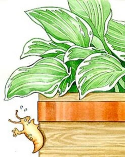 Copper Slug Tape 5 Copper Slug Tape -Green Leaf Tools & Supplies Sales Store 38 994 b