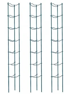 Tomato Ladders, Set Of 3 -Green Leaf Tools & Supplies Sales Store 38184 002E psd