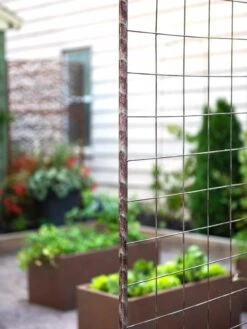 Jardin Rose Arch -Green Leaf Tools & Supplies Sales Store 38690 9948 tif