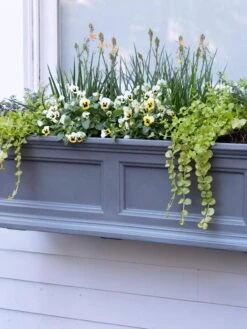 Fairfield Self-Watering Window Box, 3’ -Green Leaf Tools & Supplies Sales Store 39 344 9360 tif