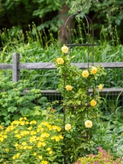 Jardin Round Obelisk, 7' -Green Leaf Tools & Supplies Sales Store 39 530 1668 tif