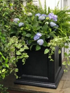 Fairfield Self-Watering Square Planter, 20” X 20” -Green Leaf Tools & Supplies Sales Store 39 618 205V tif