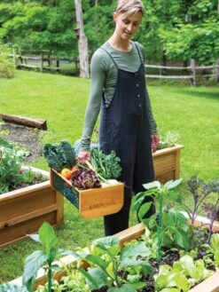 Garden Hods 9 Garden Hods -Green Leaf Tools & Supplies Sales Store 39 761 0146 tif