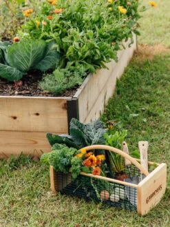 Garden Hods 8 Garden Hods -Green Leaf Tools & Supplies Sales Store 39 761 572 tif