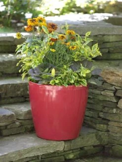 Viva Round Self-Watering Rolling Planter, 17.25” Diameter -Green Leaf Tools & Supplies Sales Store 39326 046 tif