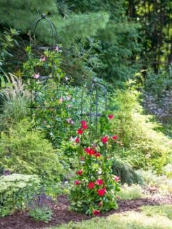 Essex Round Trellises -Green Leaf Tools & Supplies Sales Store 39545 2286 tif