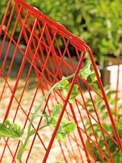 Deluxe Cucumber Trellis -Green Leaf Tools & Supplies Sales Store 39806 542 tif