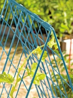 Deluxe Cucumber Trellis -Green Leaf Tools & Supplies Sales Store 39806 BLUE 100 tif