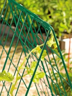 Deluxe Cucumber Trellis -Green Leaf Tools & Supplies Sales Store 39806 GR edit tif