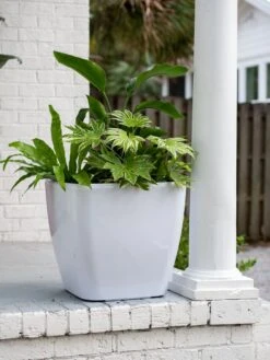 Viva Square Self-Watering Rolling Planter, 20" Diameter, Set Of 2 -Green Leaf Tools & Supplies Sales Store 3 4 crop 8612930 0033 tif