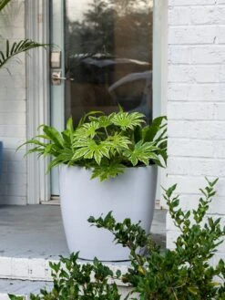 Viva Round Self-Watering Rolling Planter, 20" Diameter, Set Of 2 -Green Leaf Tools & Supplies Sales Store 3 4 crop 8612933 0025 tif