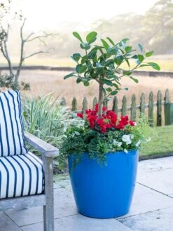 Viva Round Self-Watering Rolling Planter, 20" Diameter, Set Of 2 -Green Leaf Tools & Supplies Sales Store 3 4 crop 8612933 5312 tif