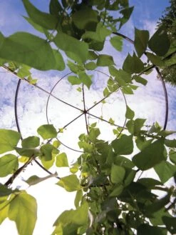 Jardin Tower -Green Leaf Tools & Supplies Sales Store 3 4 crop 8612997 0033