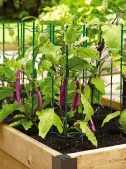 Pepper And Eggplant Stakes, Set Of 3 -Green Leaf Tools & Supplies Sales Store 40308 2116 tif