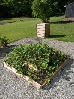 3-Tier Strawberry Bed 8 3-Tier Strawberry Bed -Green Leaf Tools & Supplies Sales Store 8586752 2341 tif