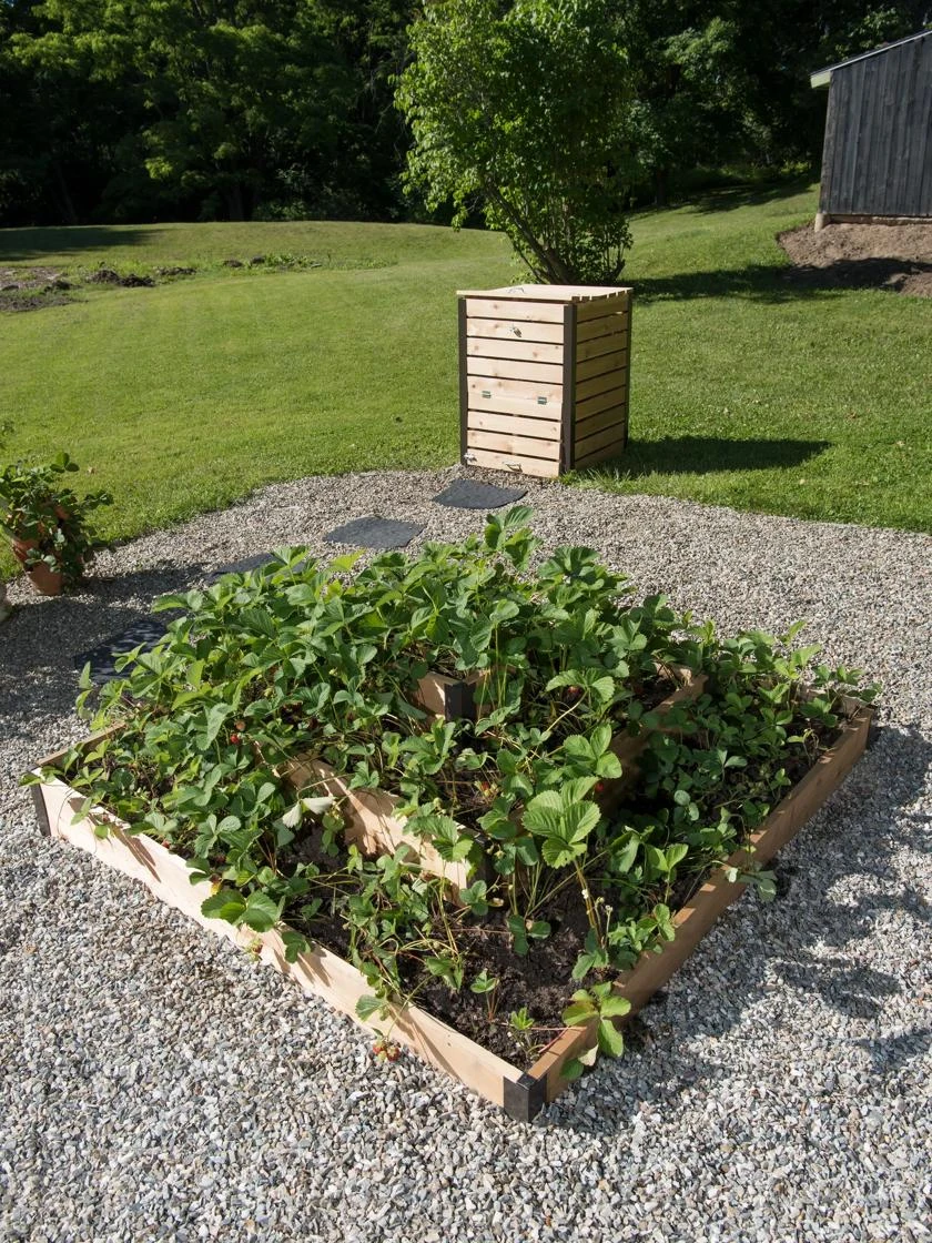 3-Tier Strawberry Bed 4 3-Tier Strawberry Bed - Image 4
