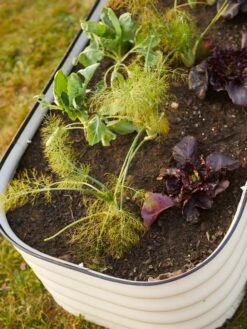 Birdies™ Modular Metal Raised Bed -Green Leaf Tools & Supplies Sales Store 8586930 6019 tif