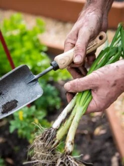 Gardener's Lifetime Trowel -Green Leaf Tools & Supplies Sales Store 8586972 3286 tif