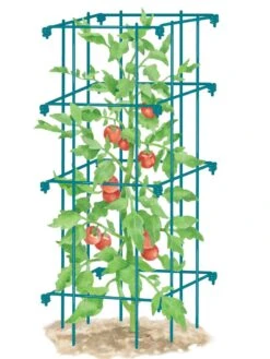Tomato Cage, Single -Green Leaf Tools & Supplies Sales Store 8587039 TomatoCage BLUE tif