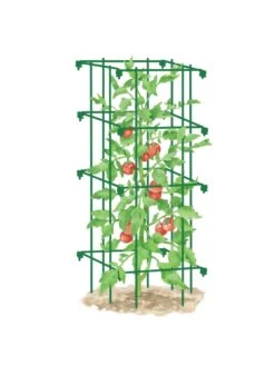 Tomato Cage, Single -Green Leaf Tools & Supplies Sales Store 8587039 TomatoCage GRN tif