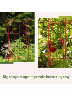 Tomato Cages, Set Of 4 -Green Leaf Tools & Supplies Sales Store 8587040 2