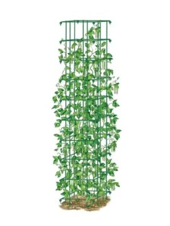 Bean Tower -Green Leaf Tools & Supplies Sales Store 8587060 0008 GRN tif