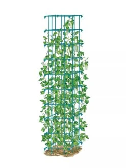 Bean Tower -Green Leaf Tools & Supplies Sales Store 8587060 BeanTower BLUE