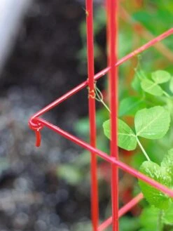 Tall Expandable Pea Trellis 7 Tall Expandable Pea Trellis -Green Leaf Tools & Supplies Sales Store 8587061 010 tif