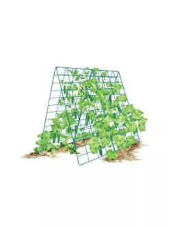 Deluxe Cucumber Trellis -Green Leaf Tools & Supplies Sales Store 8587083 001 BLUE Cukes two sided deluxe cucumber trellis support storm blue 3 4