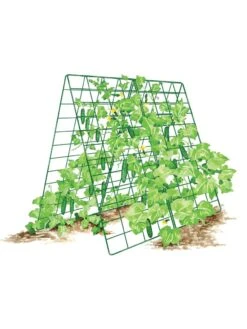 Deluxe Cucumber Trellis -Green Leaf Tools & Supplies Sales Store 8587083 001 GRN tif