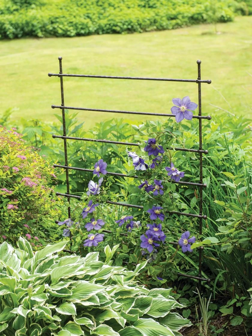 Jardin Ladder Trellis 1 Jardin Ladder Trellis