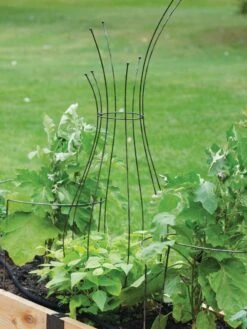 Jardin Pot Trellis 8 Jardin Pot Trellis -Green Leaf Tools & Supplies Sales Store 8587120 7037 tif