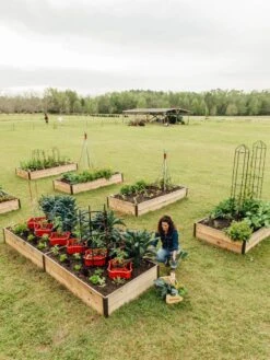 Deep Root Raised Beds, 14" Deep 4' Wide 10 Deep Root Raised Beds, 14" Deep 4' Wide -Green Leaf Tools & Supplies Sales Store 8587813 505 tif