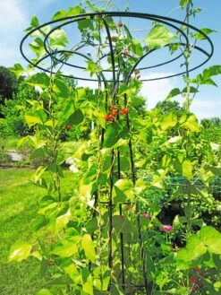 Essex Tuteur, 78" -Green Leaf Tools & Supplies Sales Store 8587861 100 tif