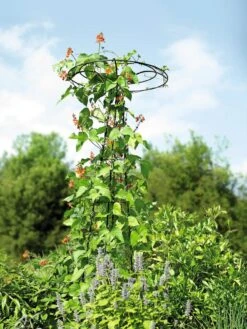 Essex Tuteur, 78" -Green Leaf Tools & Supplies Sales Store 8587861 4160 tif