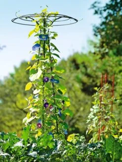 Essex Tuteur, 78" -Green Leaf Tools & Supplies Sales Store 8587861 5028 tif