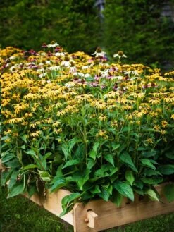 Farmstead Cedar Raised Garden Beds, 2' -Green Leaf Tools & Supplies Sales Store 8588144 014V tif