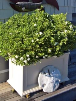 Fairfield Self-Watering Patio Planters, 20” X 36” 9 Fairfield Self-Watering Patio Planters, 20” X 36” -Green Leaf Tools & Supplies Sales Store 8588417 208V tif