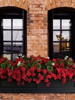 Fairfield Self-Watering Window Box, 5’ -Green Leaf Tools & Supplies Sales Store 8588938 102V tif